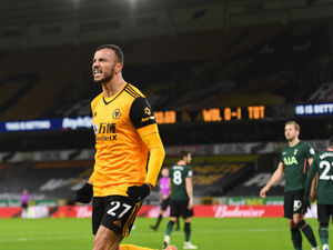Supporting image for story: Wolves Fans' Verdict v Spurs: A much-deserved point