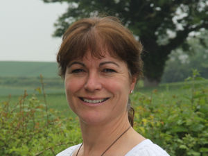 Supporting image for story: Landmark livery victory could herald tax savings