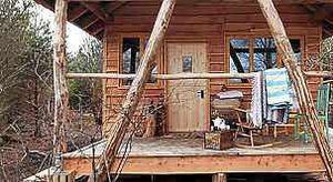 The tree lodge can sleep up to seven adults