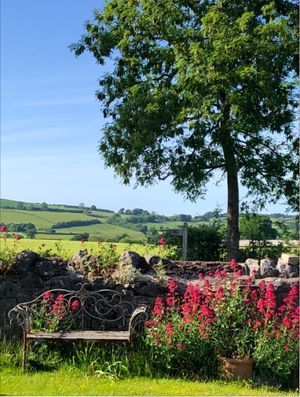 The Hymns is hosting the work of Radnorshire Artists as part of Herefordshire Art Week