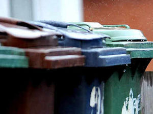 Supporting image for story: Letter: Will we get a rebate over cardboard collections?