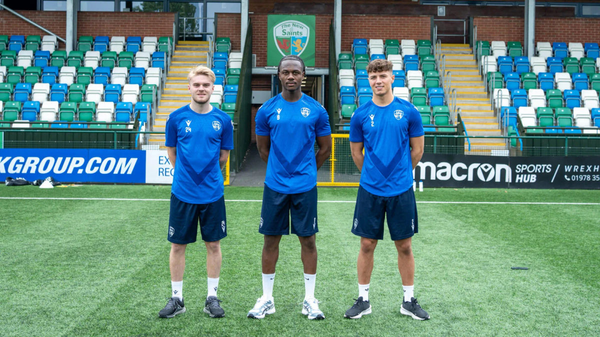 Mike Harris: TNS signings will help strengthen our cause