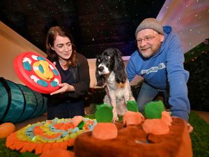 Supporting image for story: 'More tiring than a walk': We visit Shropshire's new 'dog sensory room' full of puzzles, jungle noises and treats to stimulate canine minds