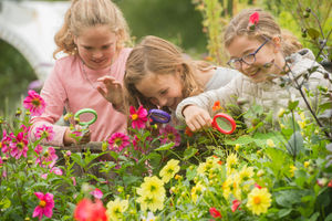 Plenty of family activities at CAT’s summer open day