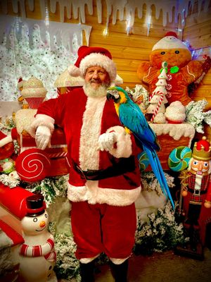 Meet Santa and the animals