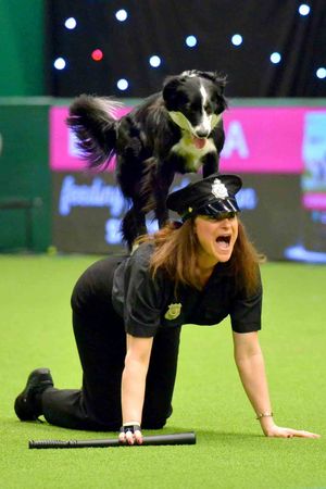 Crufts at the NEC in Birmingham