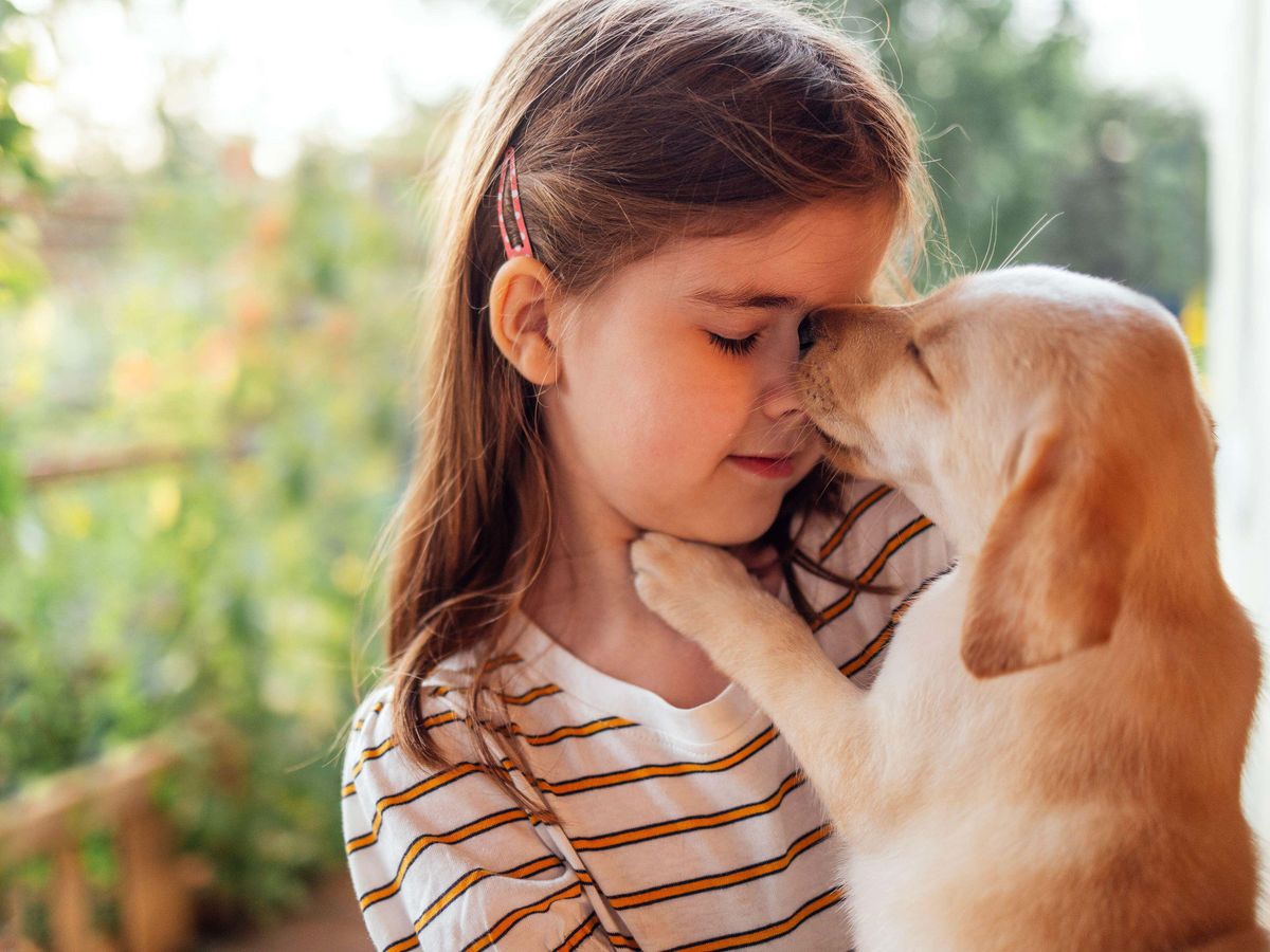 A pet dog could potentially prevent eczema in at-risk children – study