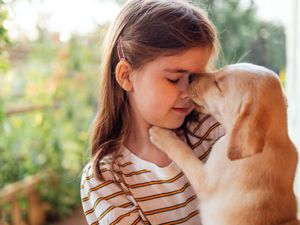 Supporting image for story: A pet dog could potentially prevent eczema in at-risk children – study