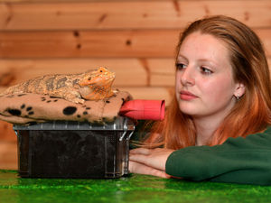 Supporting image for story: Zoo facing crippling energy bills thankful for 'game changer' green grant