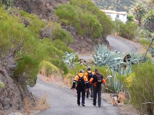 Supporting image for story: Firefighters scour hillsides for missing British teenager Jay Slater in Tenerife