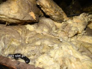 Supporting image for story: Man who hid gun in his loft is jailed along with drug-dealing friend