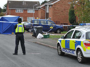 Supporting image for story: Two arrested over Whitmore Reans murder