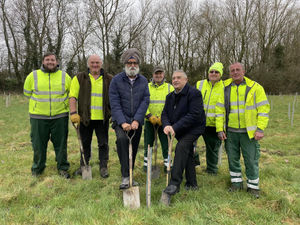 Supporting image for story: New trees planted in Sandwell's open spaces in green initiative