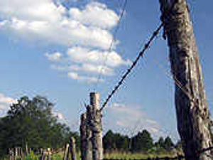 Supporting image for story: Take a look at assets