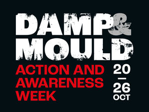 Supporting image for story: Damp & Mould Action and Awareness Week to return for second year