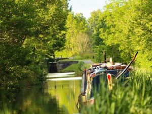 Supporting image for story: Photo competition to catch the beauty of the canal network