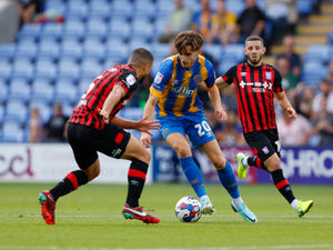 Supporting image for story: Shrewsbury boss Steve Cotterill working 'around the clock' to bring in two new signings