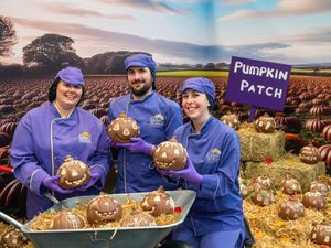 Supporting image for story: Cadbury World chocolatiers create edible pumpkin patch for Halloween
