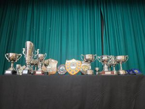 Supporting image for story: Horsehay Horticultural Society Flower, Vegetable & Craft Show class results