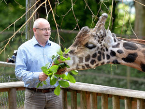 Supporting image for story: Zoos and wildlife parks welcome backing to reopen from Monday