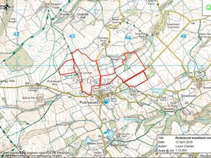 Supporting image for story: Consultation into new south Shropshire woodland extended after residents list concerns