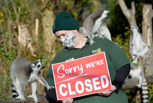 Zookeeper Laura Partridge has sad news for the lemurs