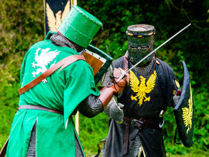 Supporting image for story: All in a knight's work at Whittington Castle's anniversary celebration 