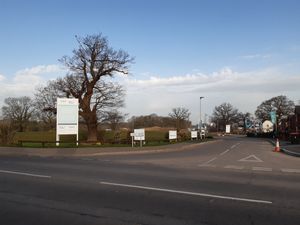 Supporting image for story: Tree preservation order on new housing estate as developer brands move 'unnecessary'