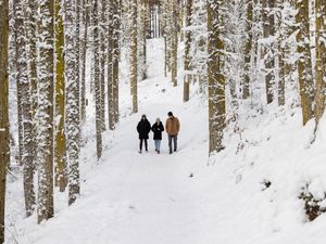 Supporting image for story: Amber weather warnings in place for northern Scotland as snow set to continue