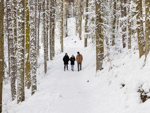 Supporting image for story: Amber weather warnings in place for northern Scotland as snow set to continue
