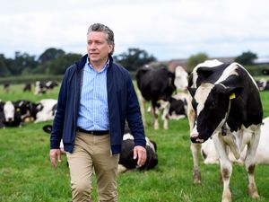 Supporting image for story: Dairy group Arla Foods issues warning over labour challenges in industry