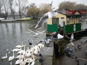 Supporting image for story: Stratford council drops legal challenge over Government’s Tier 3 decision