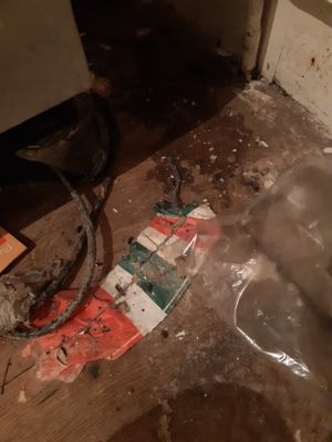Health inspectors discovered evidence of rats inside the takeaway
