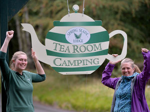 Supporting image for story: Stolen teapot sign replaced for third time