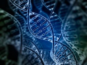 Supporting image for story: 14 strange facts about your DNA