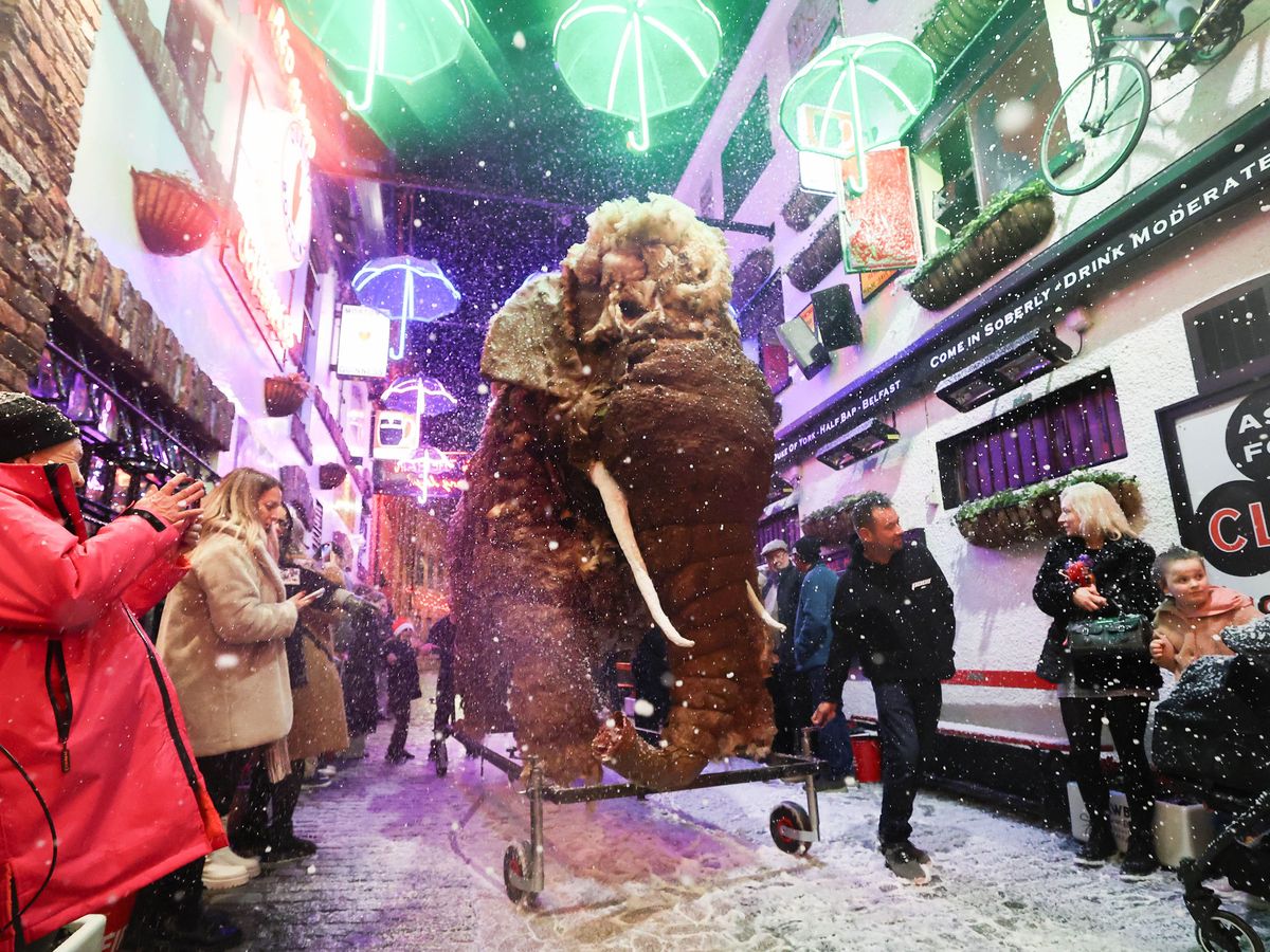 Mammoth festive surprise for revellers in Belfast&rsquo;s Cathedral Quarter