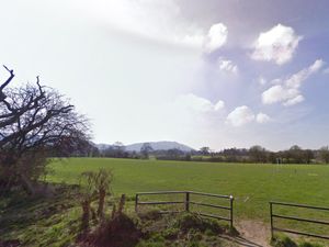 Supporting image for story: Football, parking and wildflowers: Work to begin on improving Wellington green space