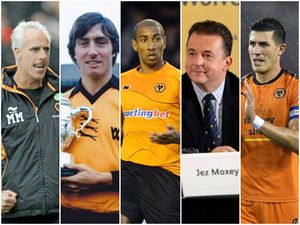 Supporting image for story: Wolves fundraiser halfway to £50,000 target