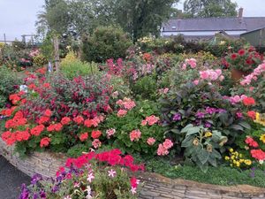Supporting image for story: The National Garden Scheme will mark its centenary by looking forward to the next 100 years