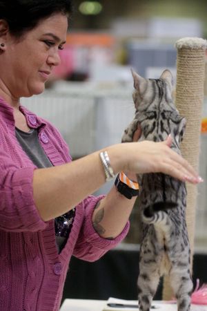 National Pet Show at Birmingham NEC. Pictures by: Andy Shaw