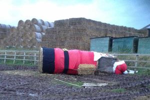 The winds brought down a straw bale Santa in Wheaton Aston