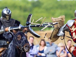 Supporting image for story: St George set to do battle with the dragon in Telford in Town Park display
