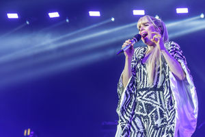 Paloma Faith at the Genting Arena in Birmingham. Pic: Chris Bowley