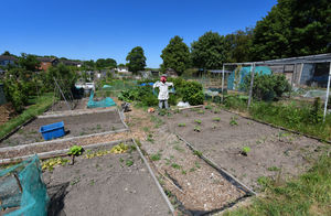 Leegomery Allotments, Telford, has been busy during lockdown