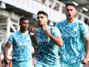 Supporting image for story: Luton 1 Wolves 1 - Report 