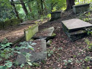 Supporting image for story: Police investigating 'despicable' grave desecration in Powys