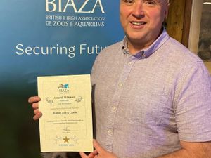 Supporting image for story: Zoo's work with autism earns top award