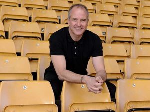 Supporting image for story: Steve Bull: Wolves have strength from bench