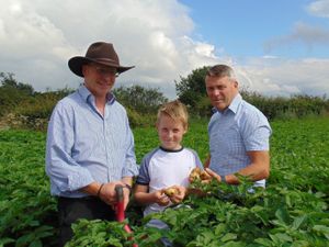Supporting image for story: Telford farm which supplies Walkers Crisps saves money with innovative technology 