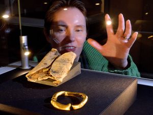 Supporting image for story: Shrewsbury Museum & Art Gallery celebrates Tripadvisor Traveller's Choice Award